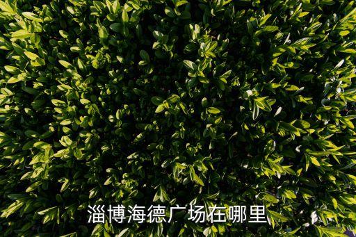 淄博海德广场在哪里
