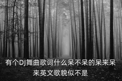 有个DJ舞曲歌词什么呆不呆的呆来呆来英文歌貌似不是