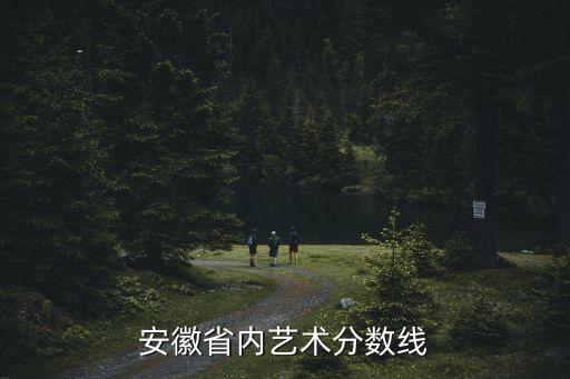 安徽省舞蹈艺考分数线2022，安徽历年艺术高考分数线是多少