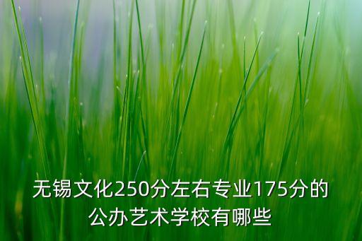 无锡文化250分左右专业175分的公办艺术学校有哪些