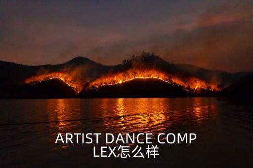 ARTIST DANCE COMPLEX怎么样