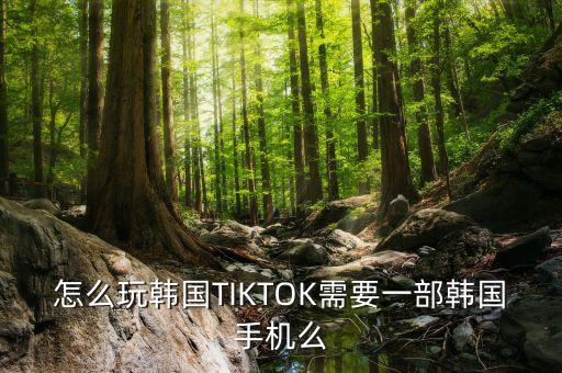 怎么玩韩国TIKTOK需要一部韩国手机么