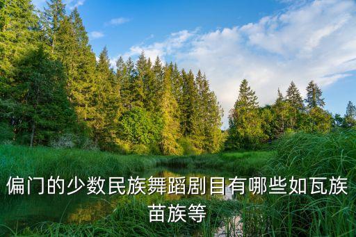 偏门的少数民族舞蹈剧目有哪些如瓦族苗族等