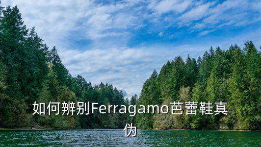 怎么折芭蕾舞蹈鞋，如何辨别Ferragamo芭蕾鞋真伪