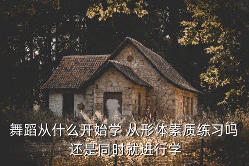 舞蹈从什么开始学 从形体素质练习吗 还是同时就进行学