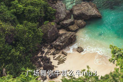 儿童广场舞你牛什么牛，广场舞你牛甚么牛mp3
