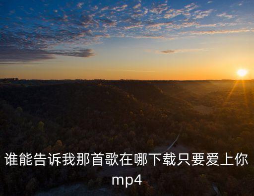 谁能告诉我那首歌在哪下载只要爱上你mp4