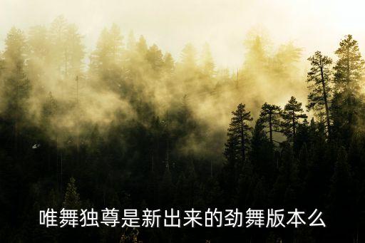 唯舞是什么舞蹈，唯舞的主打舞种是什么