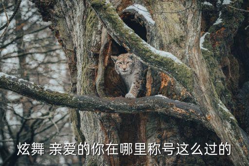 炫舞 亲爱的你在哪里称号这么过的