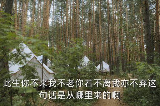 你不来我不老出自哪里，此生你不来我不老你若不离我亦不弃这句话是从哪里来的啊