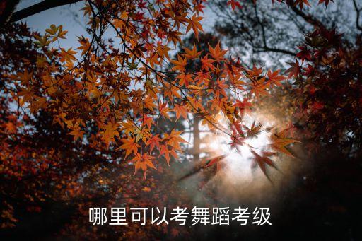 北舞考级在哪里有考点，哪里可以考舞蹈考级