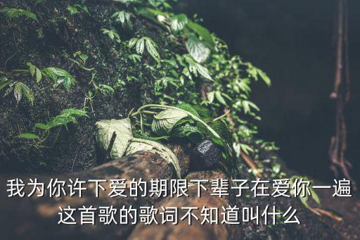 我为你许下爱的期限下辈子在爱你一遍这首歌的歌词不知道叫什么