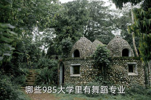 舞蹈重本大学，哪些985大学里有舞蹈专业