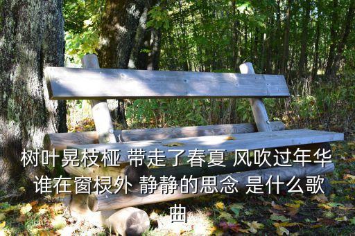树叶晃枝桠 带走了春夏 风吹过年华 谁在窗棂外 静静的思念 是什么歌曲