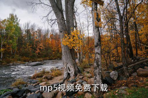 mp5视频免费下载