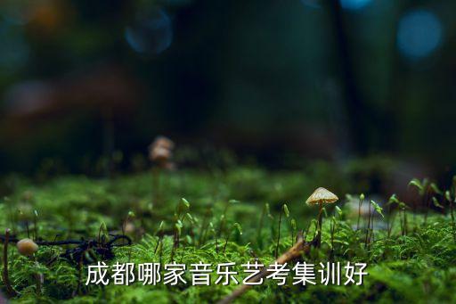 成都音乐艺考培训学校前十，成都有哪些高考音乐培训中心好