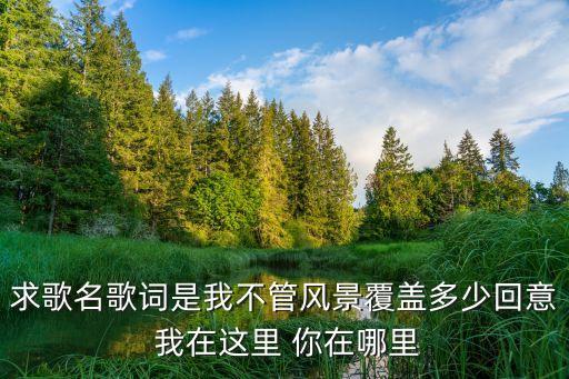 求歌名歌词是我不管风景覆盖多少回意 我在这里 你在哪里