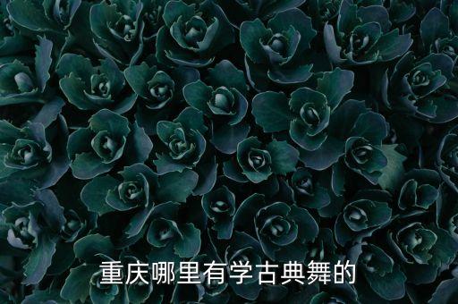 重庆哪里有学古典舞的
