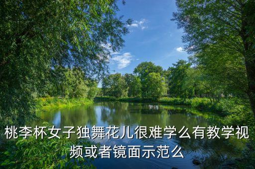 flower舞蹈教学视频完整版，求shinee lucifer 高清舞蹈教学视频