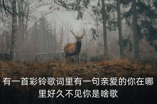 有一首彩铃歌词里有一句亲爱的你在哪里好久不见你是啥歌