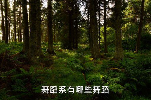 舞蹈系有哪些舞蹈