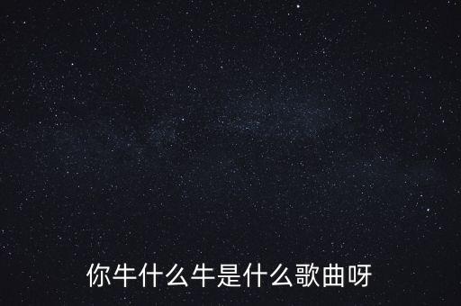 你牛什么牛是什么歌曲呀