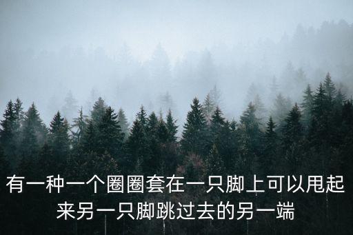 有一种一个圈圈套在一只脚上可以甩起来另一只脚跳过去的另一端