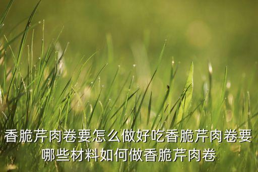 芹艺广场舞掌声在哪里，莆田市汽车站到仙游县盖尾镇芹林村怎么走
