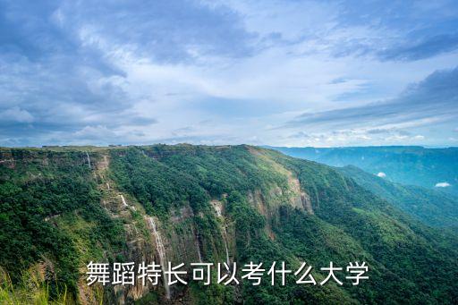 舞蹈特长可以考什么大学
