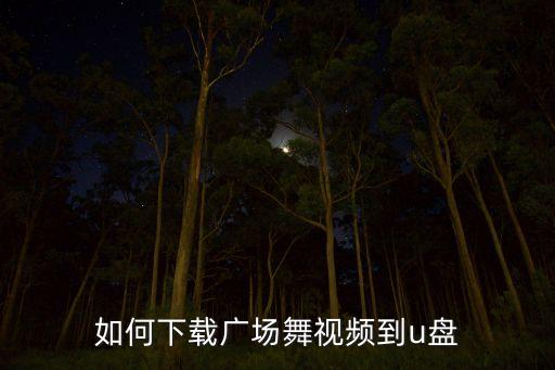 如何下载广场舞视频到u盘