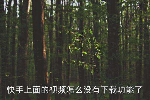 快手网页版官网没有下载功能，网页上的一个视频没有提供下载功能我还能下载下来么