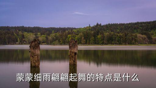 蒙蒙细雨翩翩起舞的特点是什么