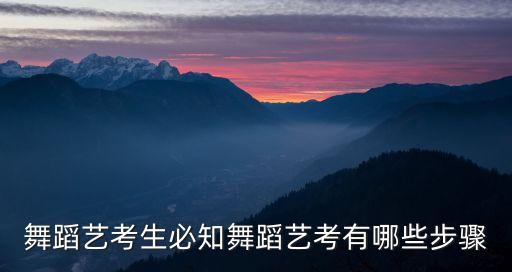 舞蹈艺考考试流程，帅哥美女们谁能讲下舞蹈专业考试流程拜托拉