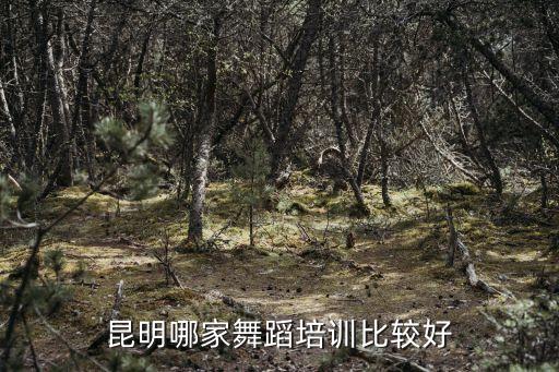 昆明成人舞蹈班多少钱一个月，昆明哪家舞蹈培训比较好
