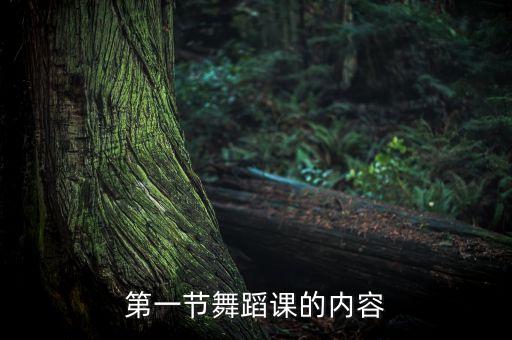 第一节舞蹈课的内容