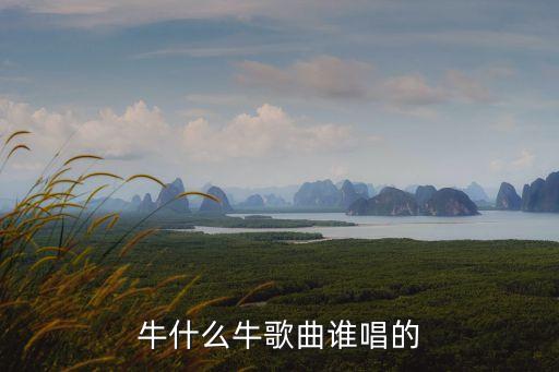 牛什么牛恩恩，牛什么牛歌曲谁唱的