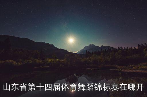 2011山东省舞蹈大赛都有哪些，noip2011普及组山东复赛成绩有了没大约多少一等奖