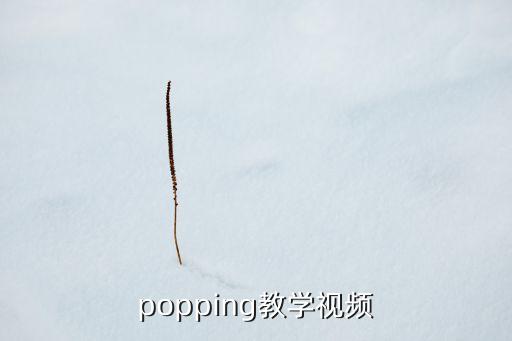 popping教学视频