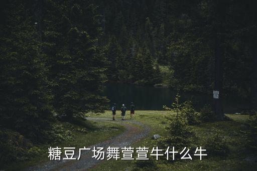 广场舞你牛什么牛变队形，广场舞你牛甚么牛mp3