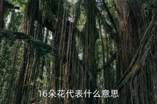 16朵花代表什么意思