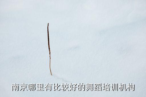 南京哪里有好的拉丁舞学校，想学拉丁舞 南京有什么好地方学的 是蹲那住的