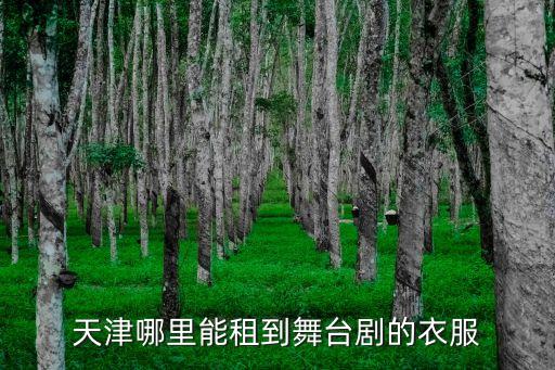 天津哪里能租到舞台剧的衣服