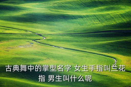 舞蹈中 掌型手是什么，急需跳古典舞的基本手型是什么