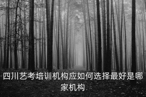 四川艺考培训机构应如何选择最好是哪家机构