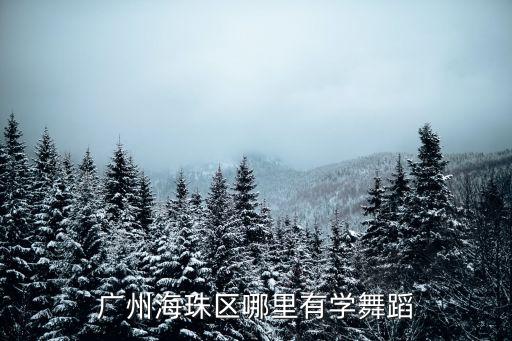 广州哪里有学舞蹈的，广州海珠区哪里有学舞蹈