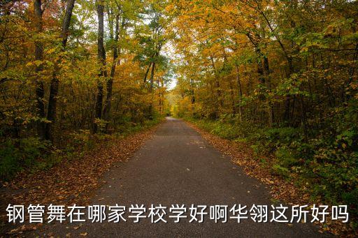 广州华翎怎么样，华翎的钢管舞教的好吗我现在很想学钢管舞的说