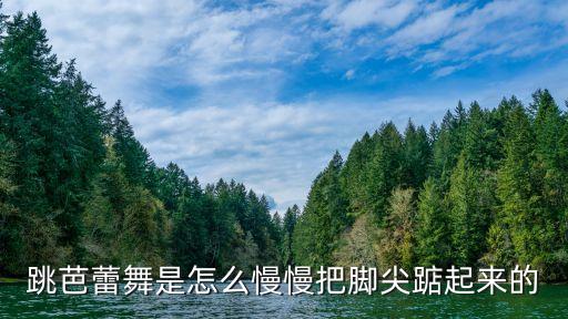 跳芭蕾舞是怎么慢慢把脚尖踮起来的