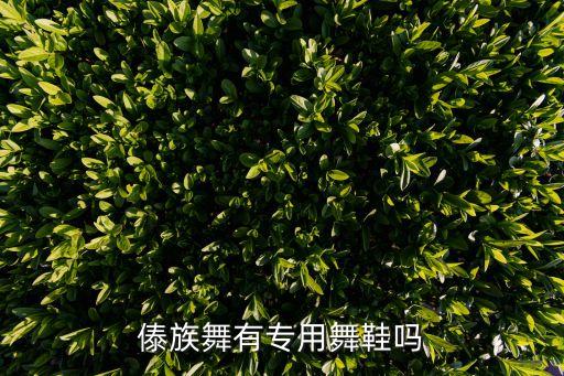 傣族舞有专用舞鞋吗