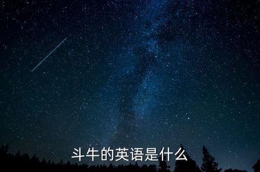 斗牛的英语是什么