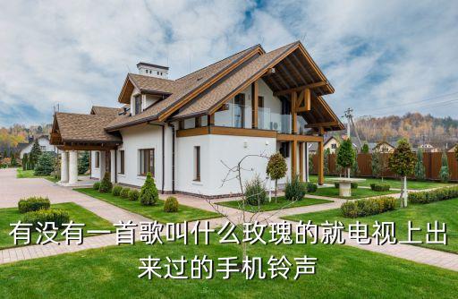 有没有一首歌叫什么玫瑰的就电视上出来过的手机铃声
